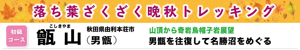 男甑