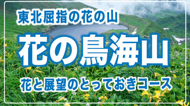【鳥海山登山】さくっと花を楽しみたい人のためのベストコース