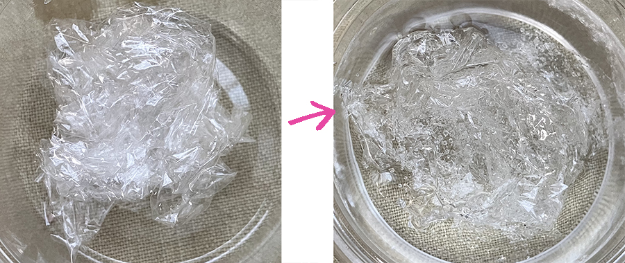 花びらが透明になる理由の実験