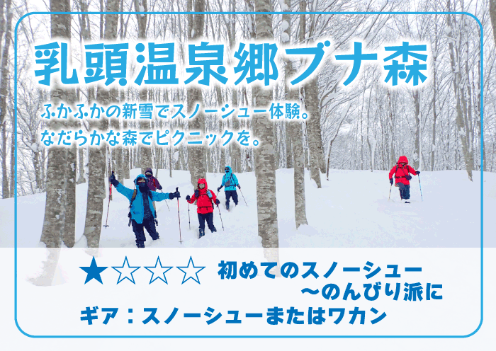 乳頭温泉郷の森