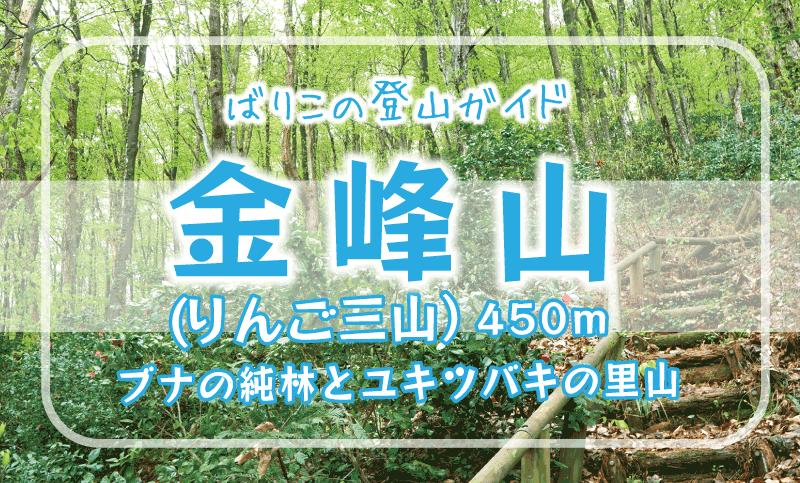 金峰山横手市平鹿