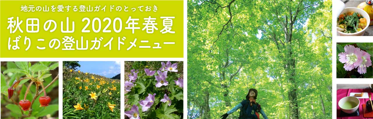 ばりこの登山ガイド2020メニュー